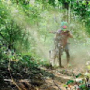 Meet your Posher, Dakota